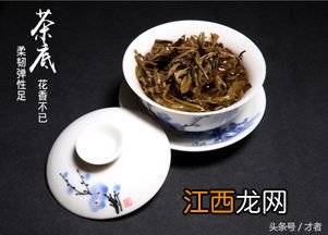 普洱茶怎么煮着喝