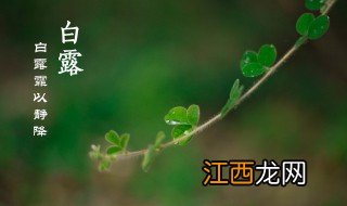 白露时节怎么调理 白露如何养生注意事项