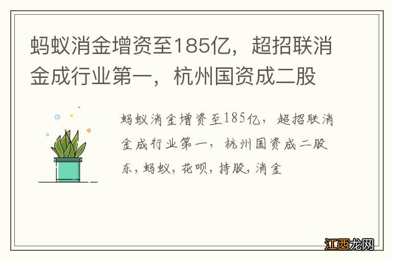 蚂蚁消金增资至185亿，超招联消金成行业第一，杭州国资成二股东