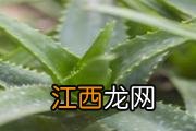 凉拌腐竹怎么做好吃又简单 吃凉拌腐竹有什么好处