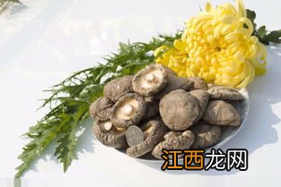 香菇不能和什么食物一起炒