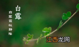 白露节气在哪个季节 白露节气哪个季节