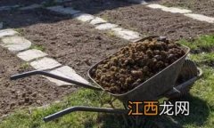 怎样用稻壳改良土壤