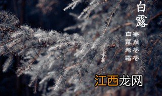 白露哪个季节节气最盛 白露哪个季节节气