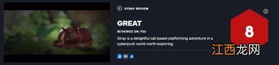 《流浪》IGN 8分：我的猫生一片无悔
