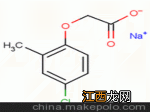 二甲四氯使用注意什么