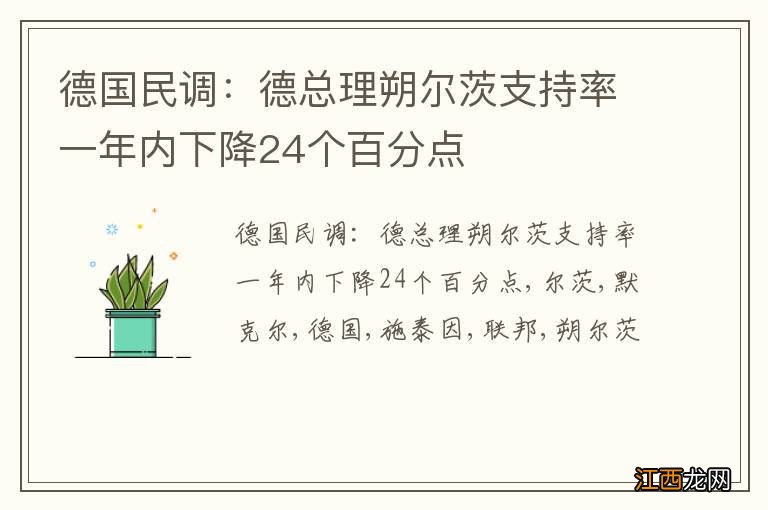 德国民调：德总理朔尔茨支持率一年内下降24个百分点