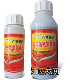 玉米除草剂能和杀虫剂混用吗