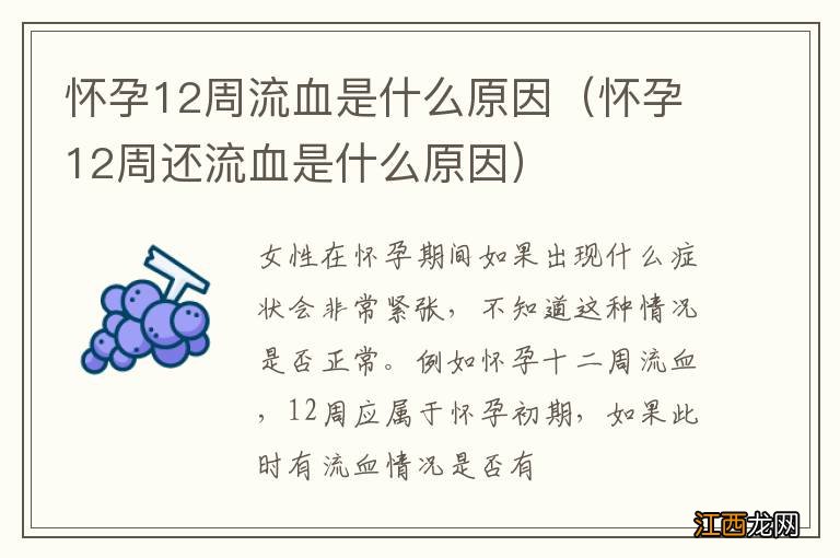 怀孕12周还流血是什么原因 怀孕12周流血是什么原因