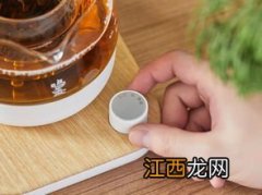 怎么用煮茶器煮红茶