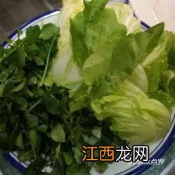 鸡煲什么素菜好吃