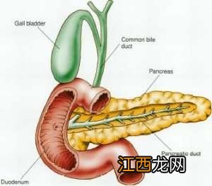 很多胰腺癌都是误诊吗-胰腺肿瘤良性几率多大