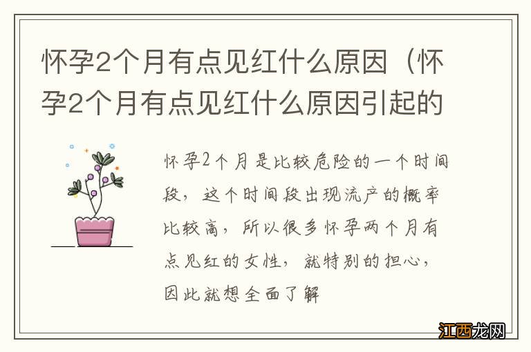 怀孕2个月有点见红什么原因引起的 怀孕2个月有点见红什么原因