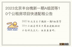 2023北京丰台槐新一期A组团等10个公租房项目快速配租公告