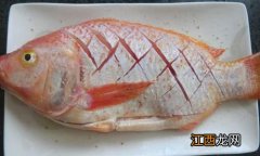 菜虹雕是什么鱼