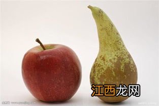 苹果和梨怎么煮好吃又营养价值