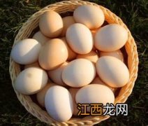 鸡蛋一般保存多久