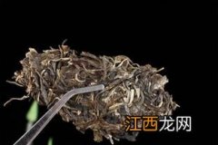 霉变茶叶怎么辨别