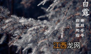 白露节气有什么忌讳吗 白露时节最忌讳什么