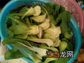 瓢儿菜怎么做