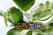 中药面膜粉配方