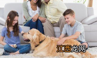 关于孩子叛逆的感悟和建议作文 关于孩子叛逆的感悟和建议