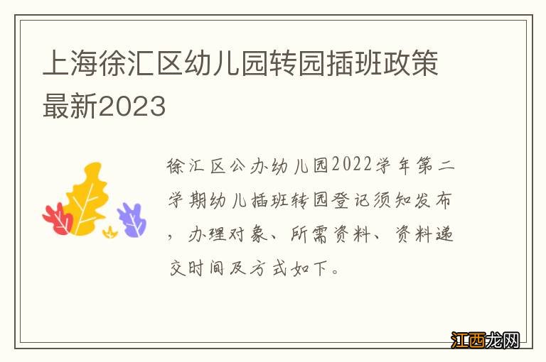 上海徐汇区幼儿园转园插班政策最新2023