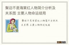 鬓边不是海棠红人物简介分析及关系图 主要人物命运结局