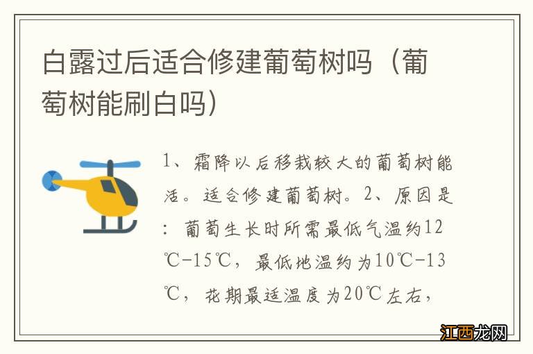 葡萄树能刷白吗 白露过后适合修建葡萄树吗