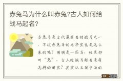 赤兔马为什么叫赤兔?古人如何给战马起名?