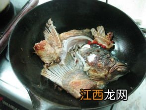 胖鱼头怎么样