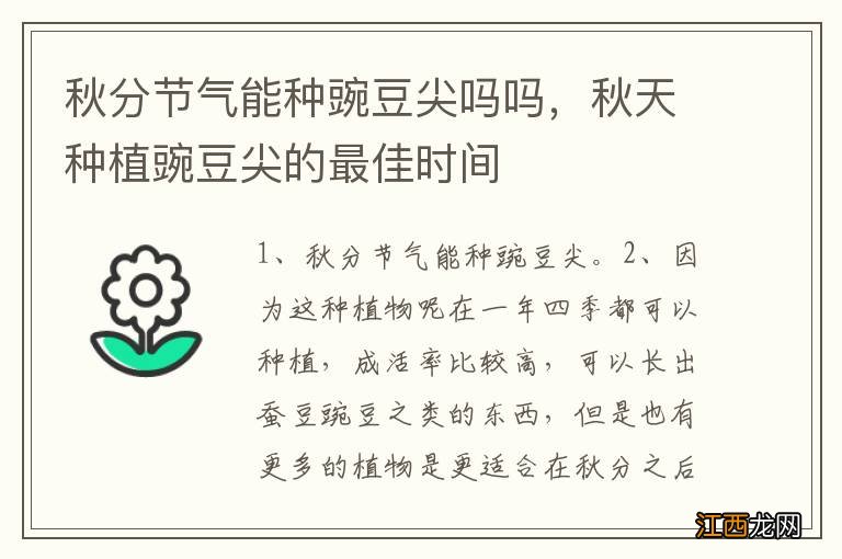 秋分节气能种豌豆尖吗吗，秋天种植豌豆尖的最佳时间