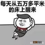 为什么骗子不骗动漫头像的人-用卡通头像的人没有被骗的价值吗