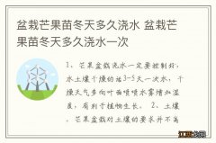 盆栽芒果苗冬天多久浇水 盆栽芒果苗冬天多久浇水一次