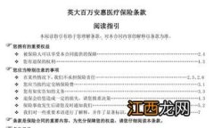 百万安惠是什么保险公司的？