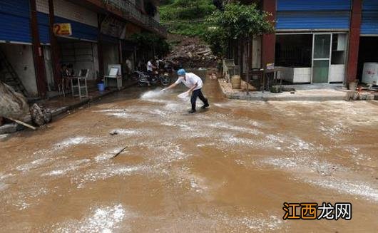 洪水灾害极易造成疫病流行 灾后预防动物疫病措施