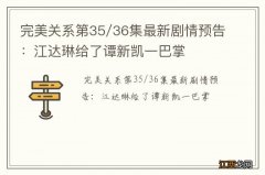 完美关系第35/36集最新剧情预告：江达琳给了谭新凯一巴掌