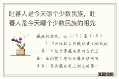 吐蕃人是今天哪个少数民族，吐蕃人是今天哪个少数民族的祖先公主指的是谁