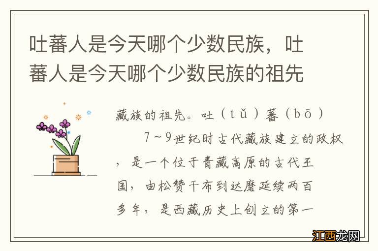 吐蕃人是今天哪个少数民族,吐蕃人是今天哪个少数民族的祖先公主指的是谁