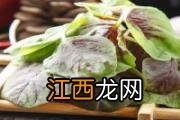 蛏子带泥土能放几天 蛏子怎么隔夜保存