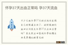 怀孕37天出血正常吗 孕37天流血