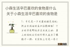 小森生活辛巴喜欢的食物是什么 关于小森生活辛巴喜欢的食物是什么介绍