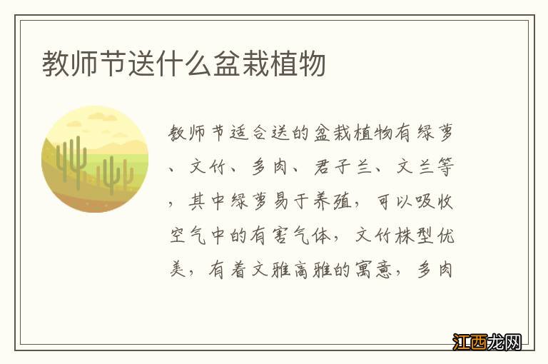 教师节送什么盆栽植物