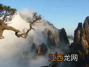 天下第一仙山：道教名山武当山多高