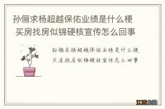 孙俪求杨超越保佑业绩是什么梗 买房找房似锦硬核宣传怎么回事