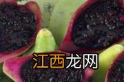 蛋挞没有吃完可以怎么保存 蛋挞能保存几天