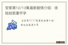 安家第12/13集最新剧情介绍：徐姑姑前妻怀孕