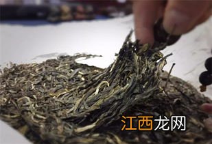 古树绿茶怎么泡