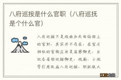 八府巡抚是个什么官 八府巡按是什么官职