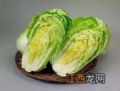 下关四星大白菜怎么样